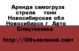 Аренда самогруза стрела 12 тонн - Новосибирская обл., Новосибирск г. Авто » Спецтехника   